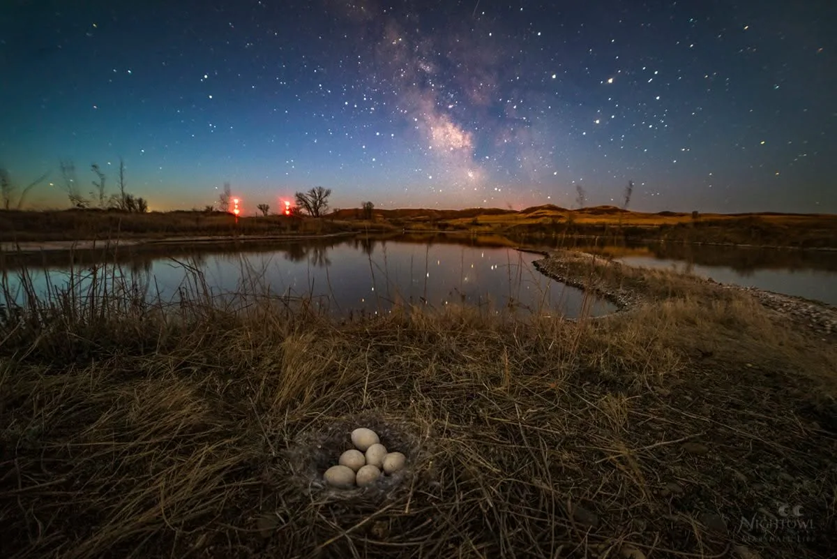 Night sky over the homestead